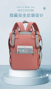 Multi-functional baby bag